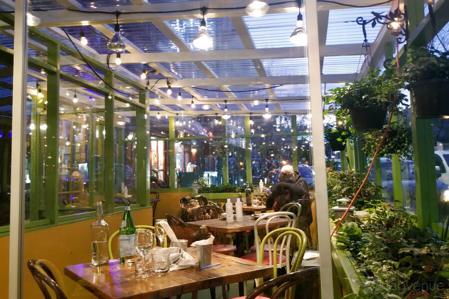 Terrace at
