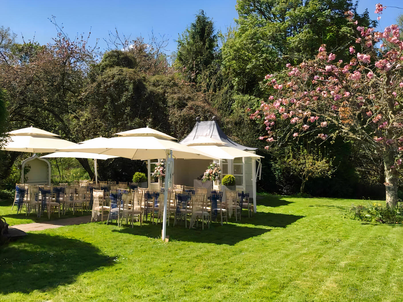 A hotel garden with white umbrellas, banquet chairs, and blooming trees at Fox & Hounds.