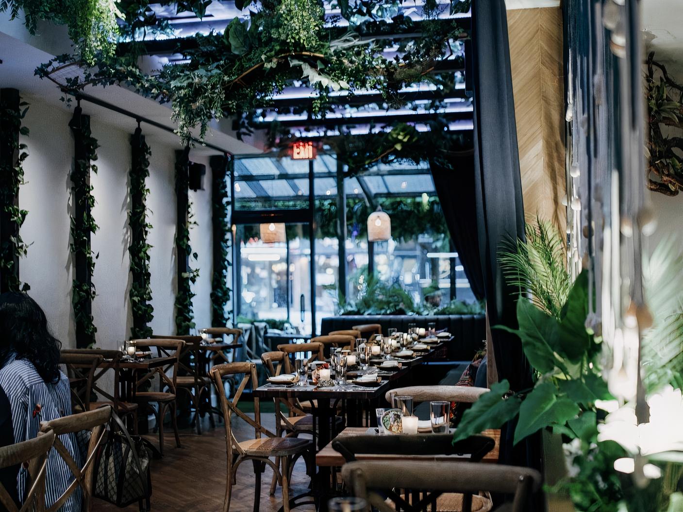 A restaurant dining room with hanging greenery, wood chairs, and leafy plants at Mission Ceviche Jungle Room.
