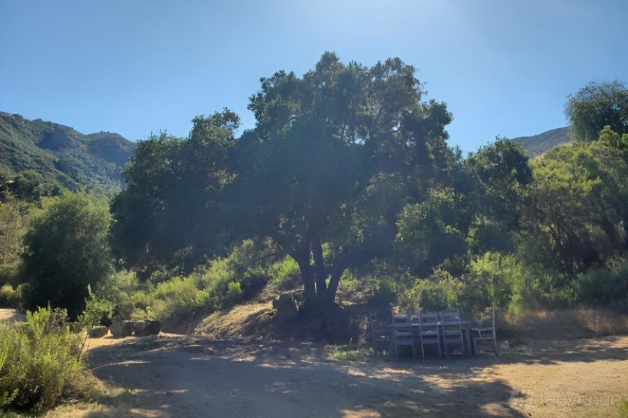 Rustic Quail View Ranch - Quail View Ranch - Event Venue Rental ...