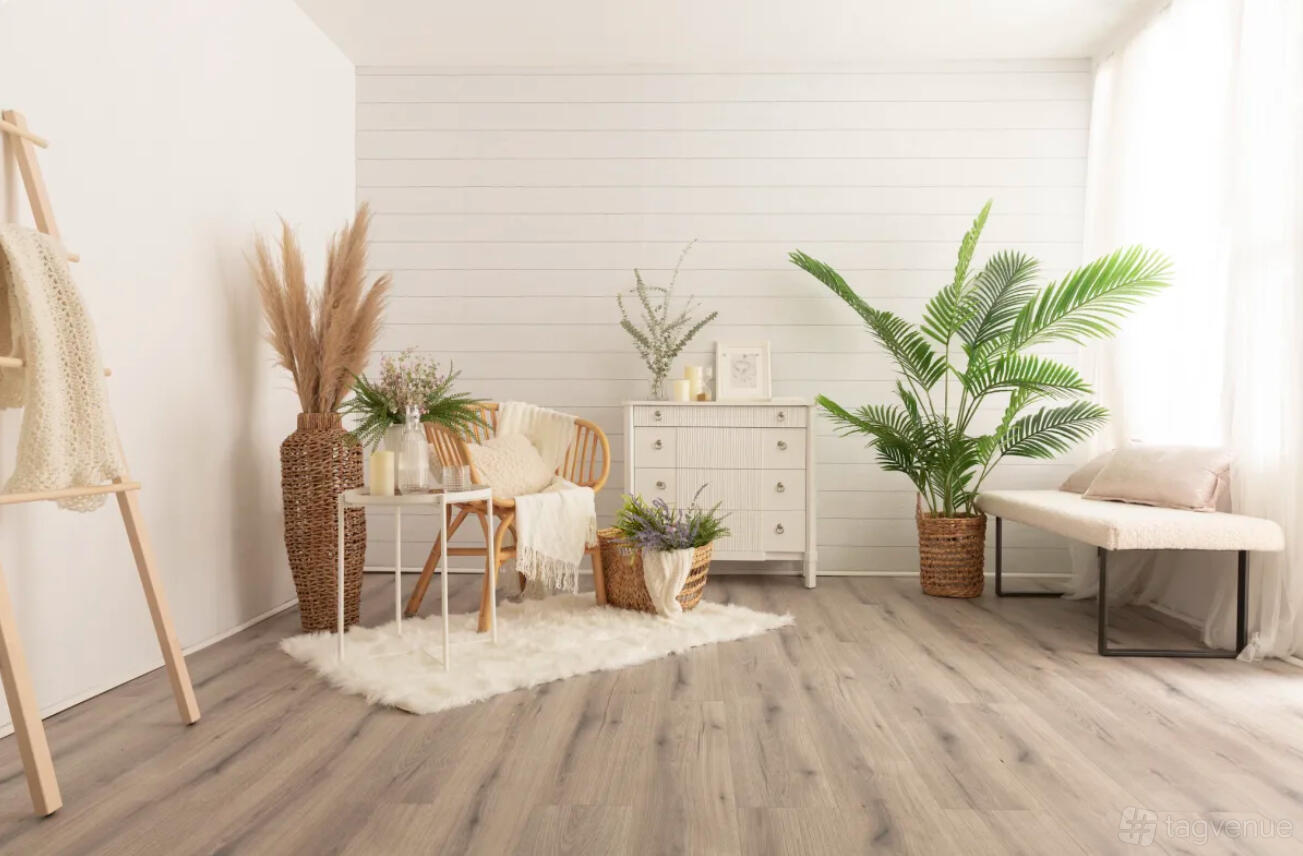 A photo studio with white shiplap walls, large windows, wood flooring, and potted plants at LR Creative.