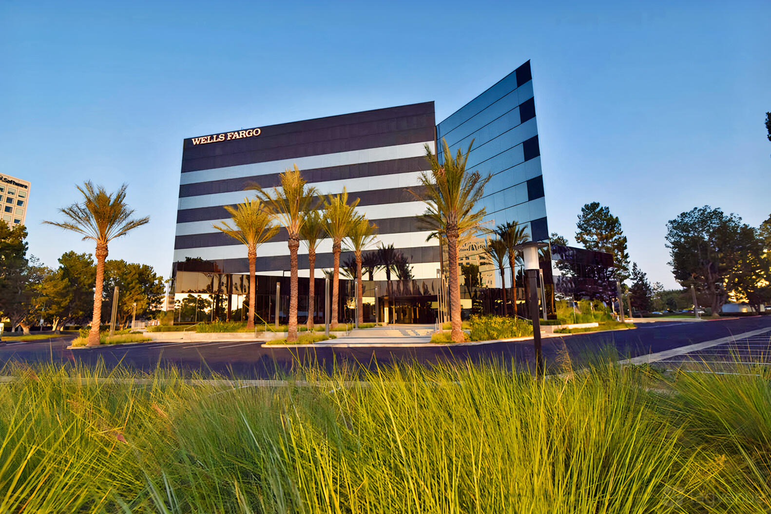 An office building with reflective glass exterior, palm trees, and landscaped greenery at Premier Workspaces - 4590 MacArthur.