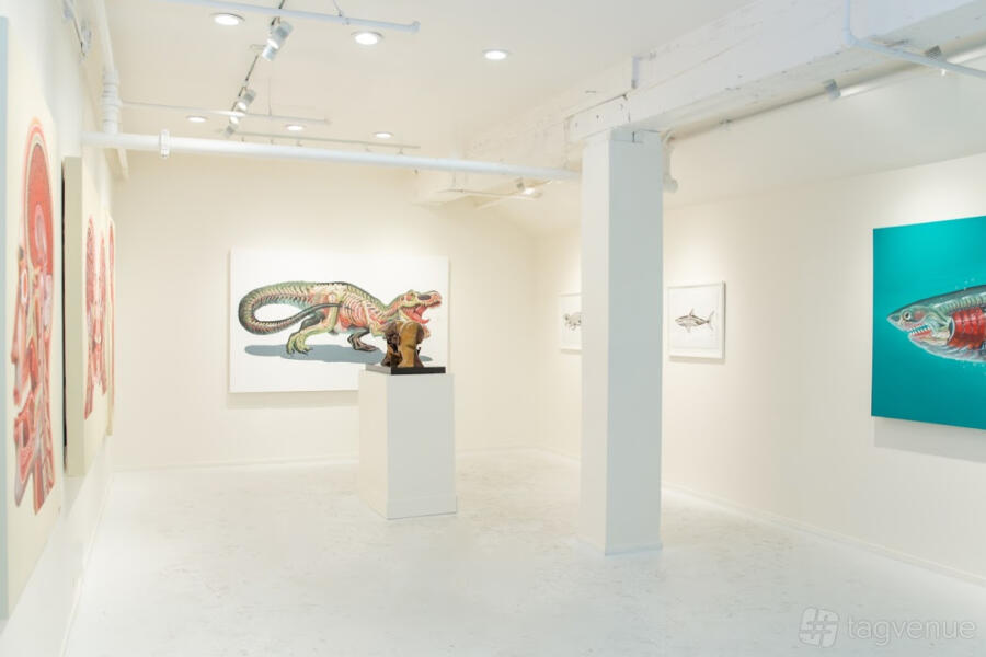 Mirus Gallery San Francisco at