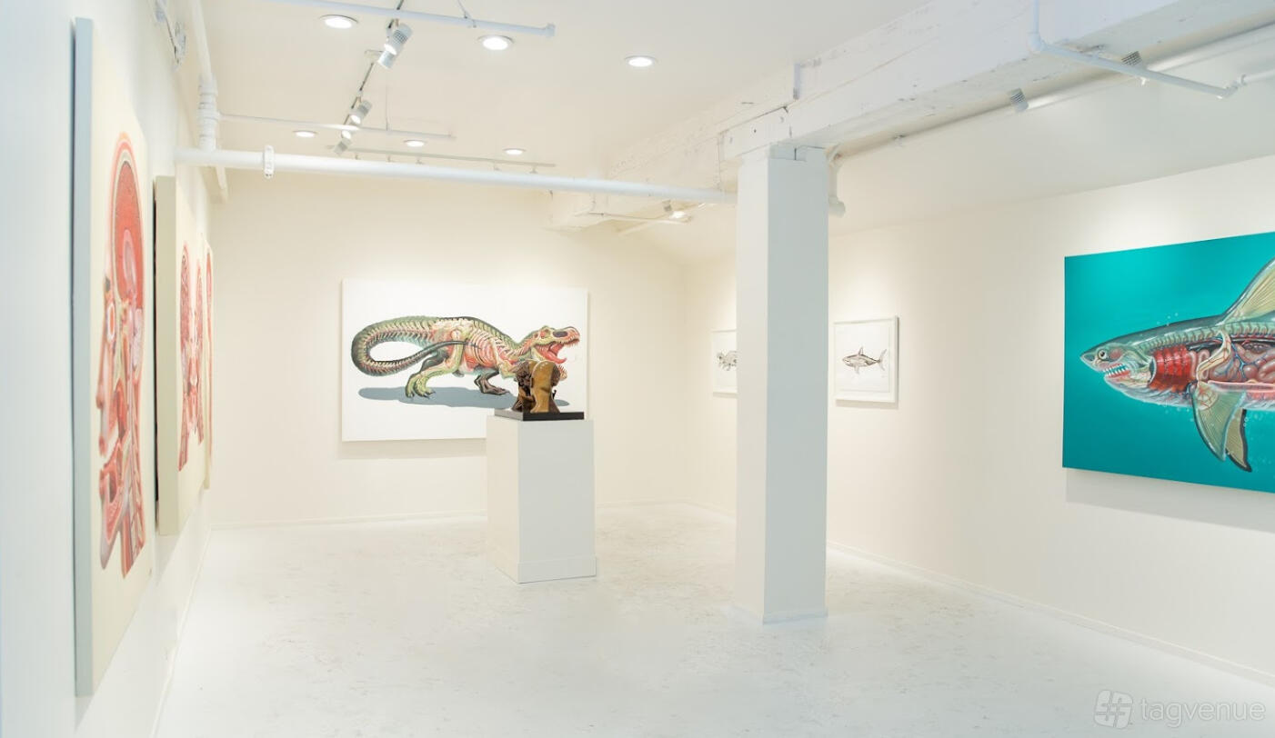 An event space with white walls, track lighting, and contemporary animal artwork at Zen Compound.