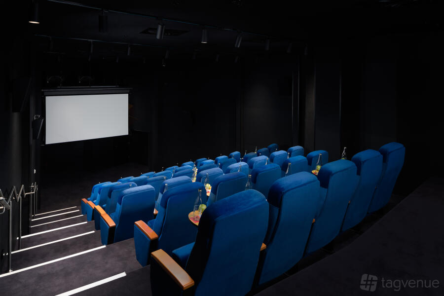 The Cinema at