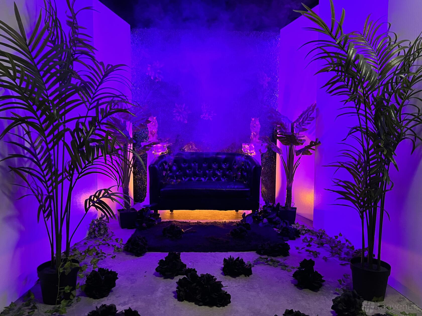 A photo studio with a black leather sofa, purple lighting, fog effects, and potted plants at Playhouse Studioz.
