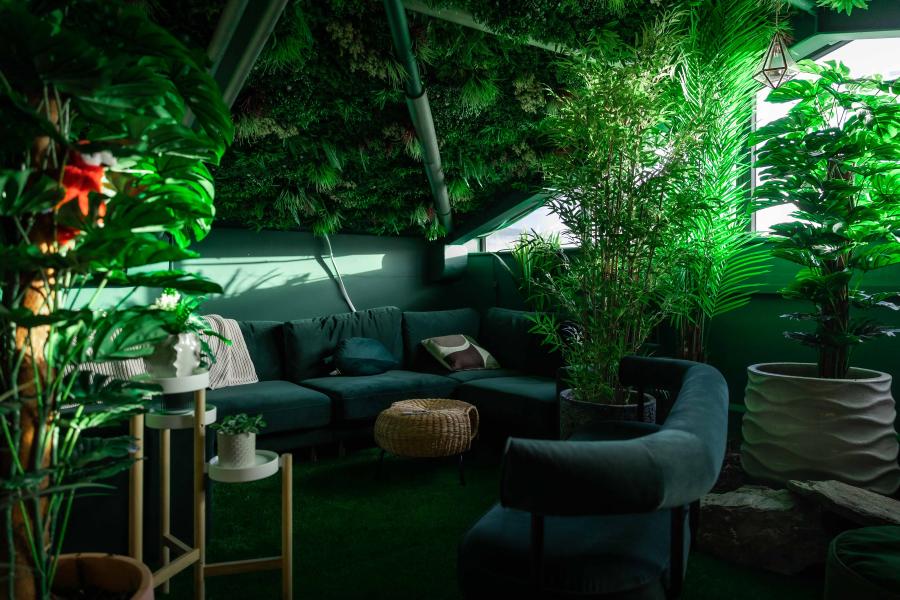 The Rainforest at
