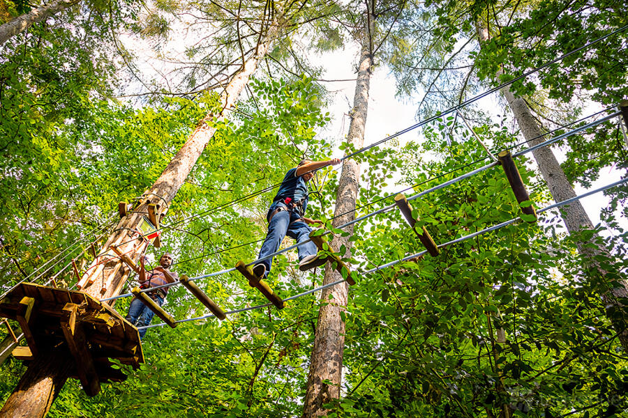 Go Ape Rivington Go Ape Rivington