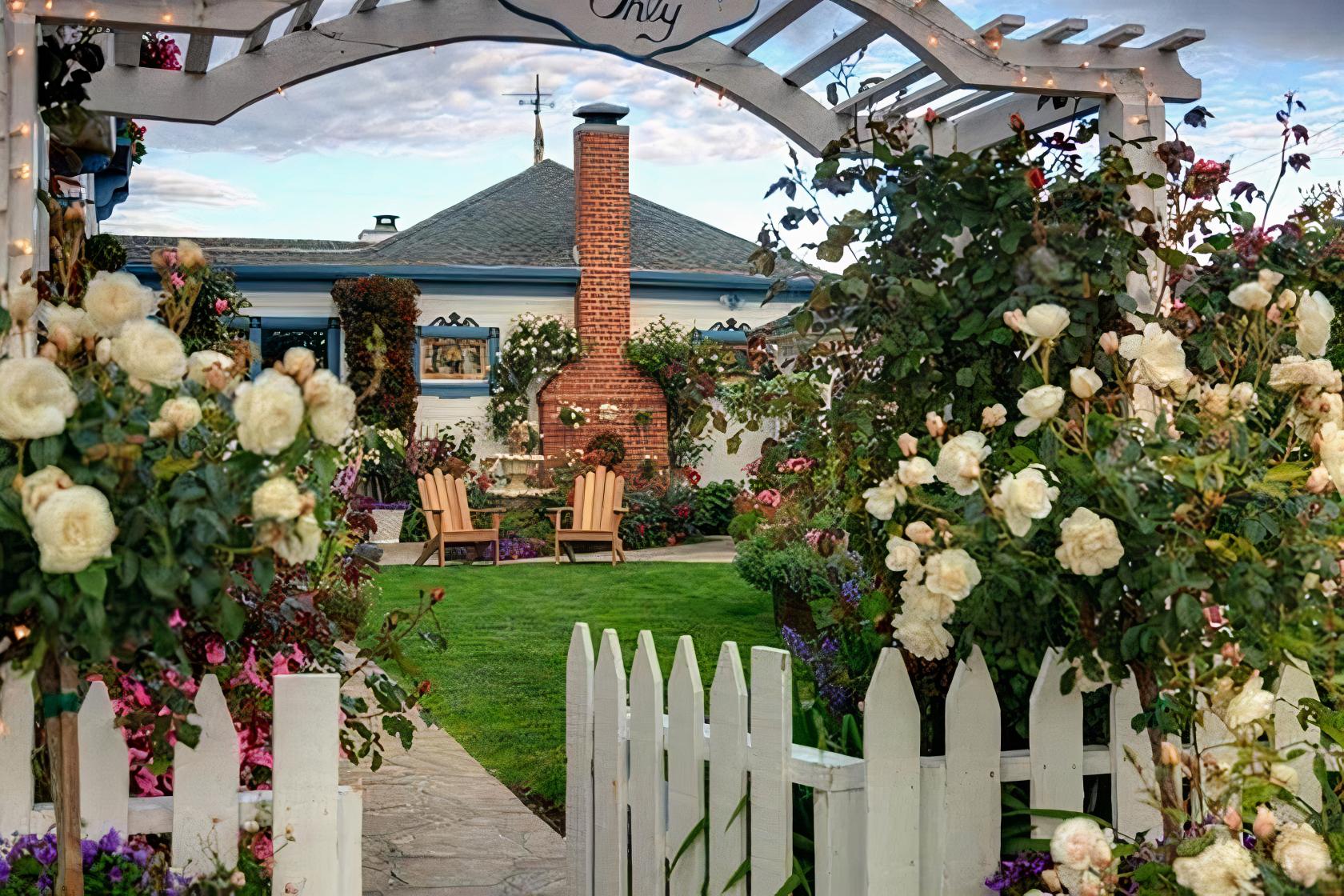 A hotel garden with blooming rose bushes, a white picket fence, and wooden chairs at Mill Rose Inn.