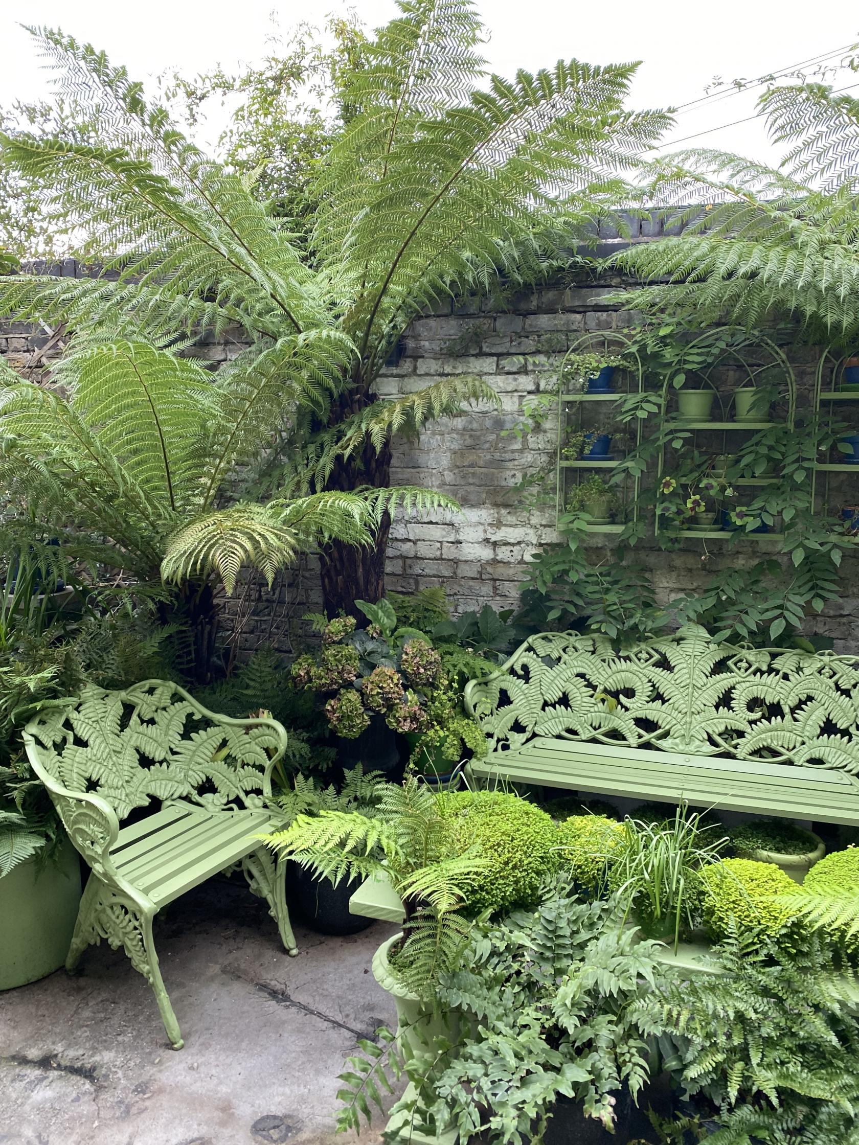 A film and photo studio with ornate green benches, ferns, and a brick wall lined with potted plants at Clapton Tram.