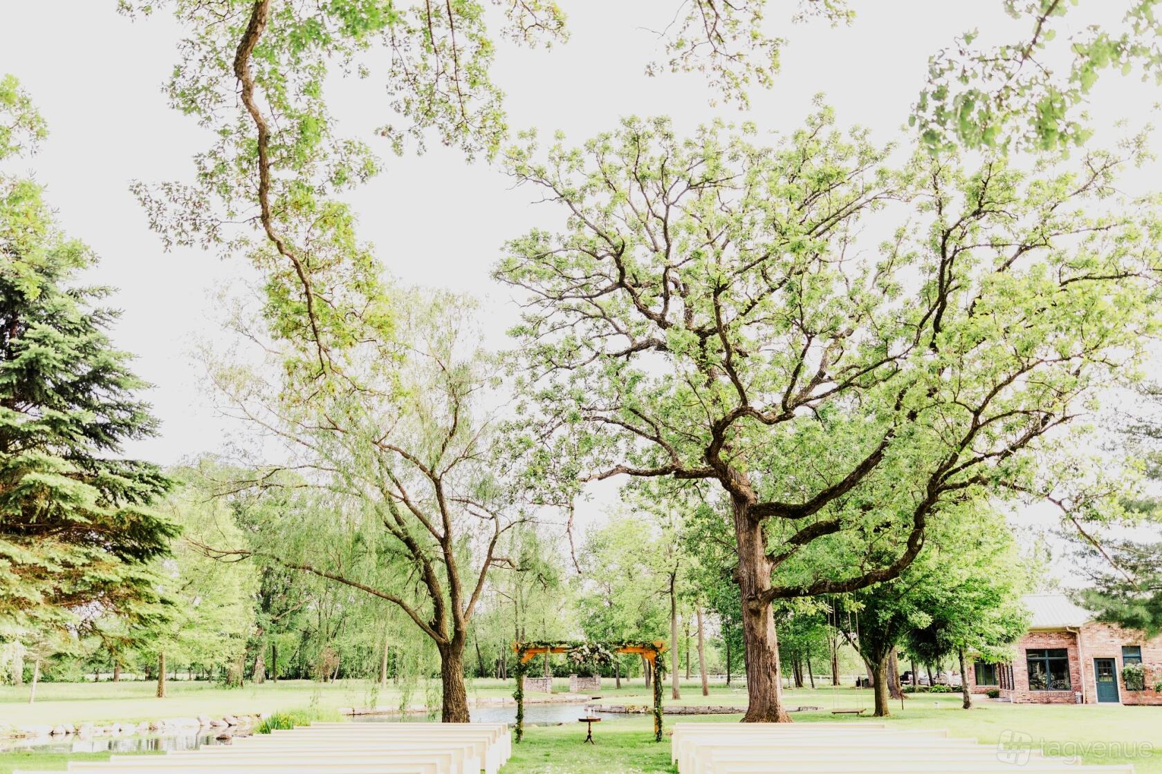 An outdoor event space with mature trees, white benches, and a wooden arch at BrighterDaze.