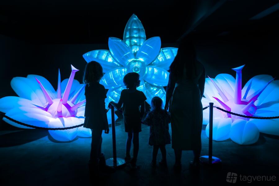 Interactive Gallery Interactive Gallery