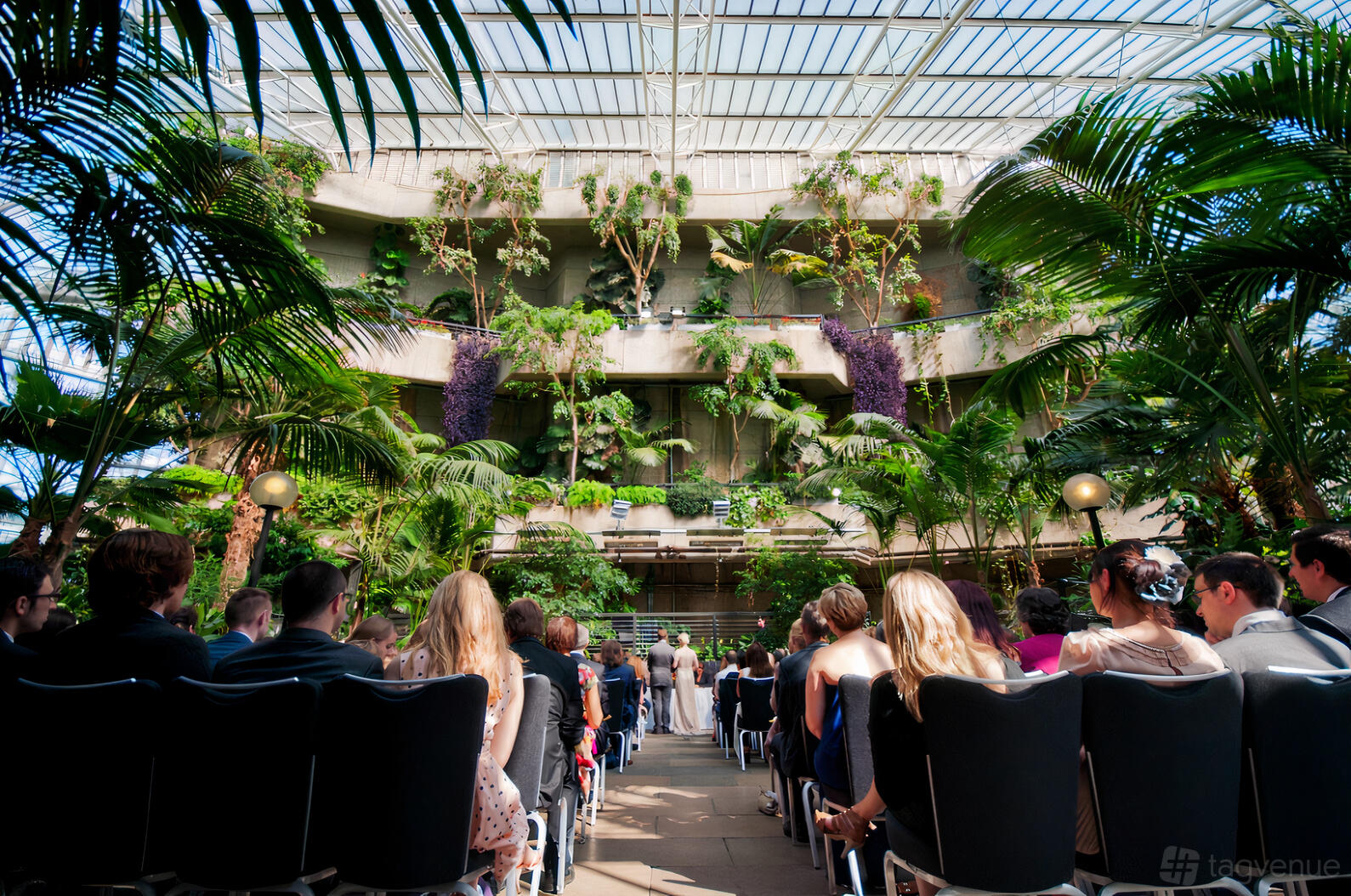 A conservatory with tall tropical plants, glass roof, and rows of chairs arranged for an event at Barbican.