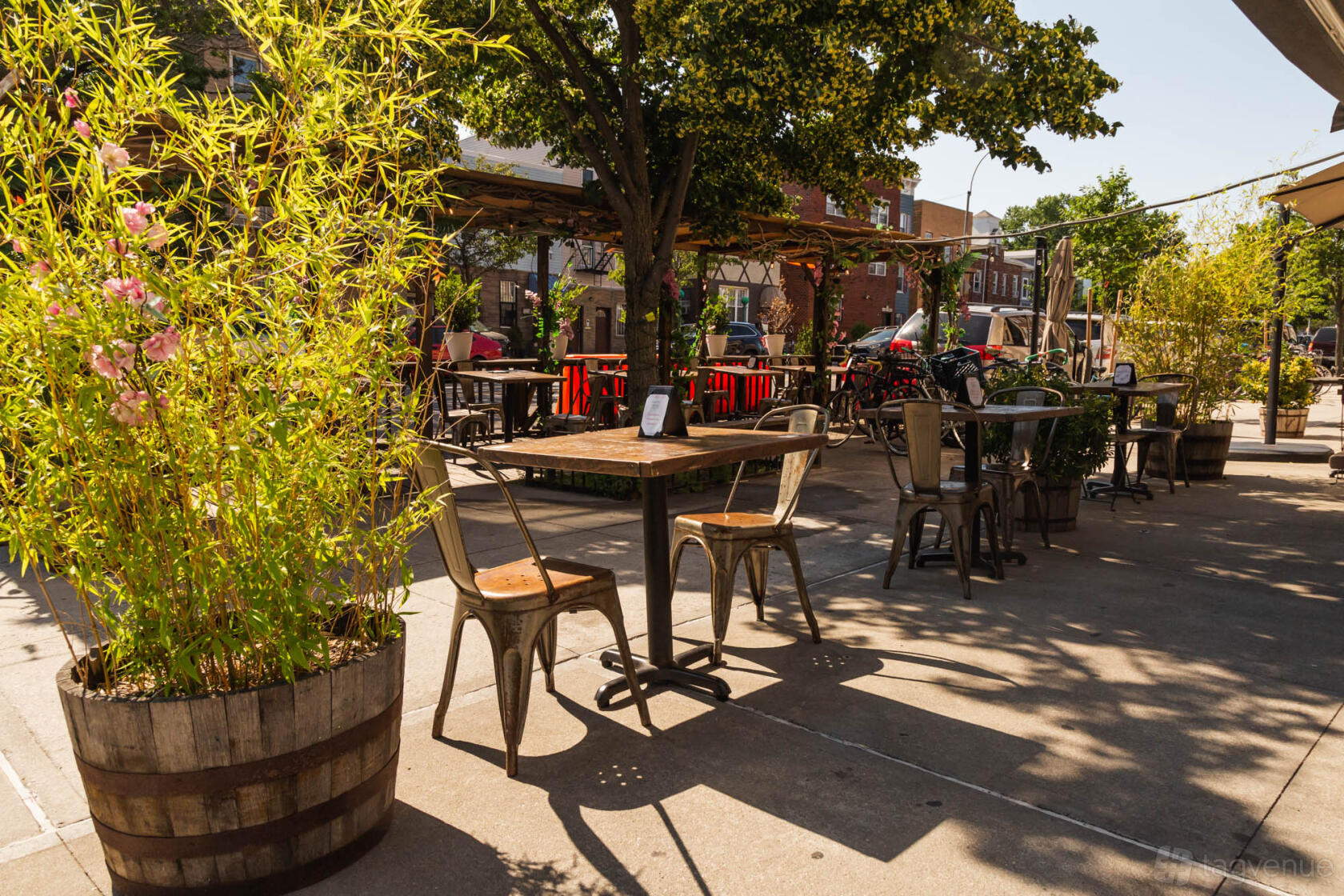 An outdoor terrace with metal chairs, wooden tables, potted plants, and shade trees at Cena.