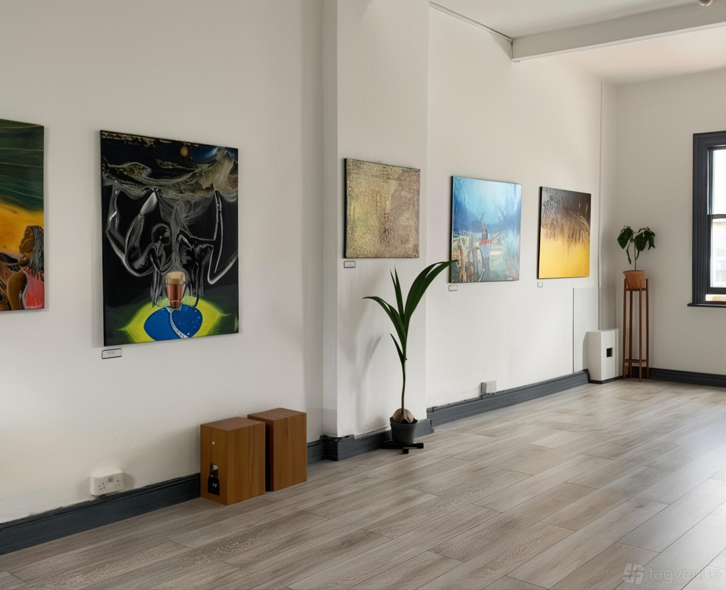 A photo and film studio with framed artwork on white walls, wooden flooring, and a potted plant at Film Actualization.