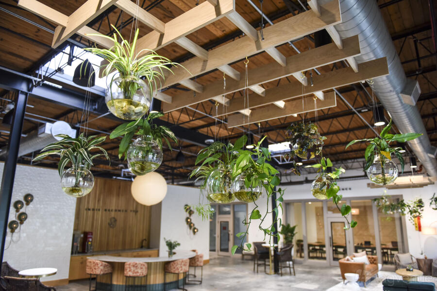 Lobby Bar + Courtyard Lobby Bar + Courtyard