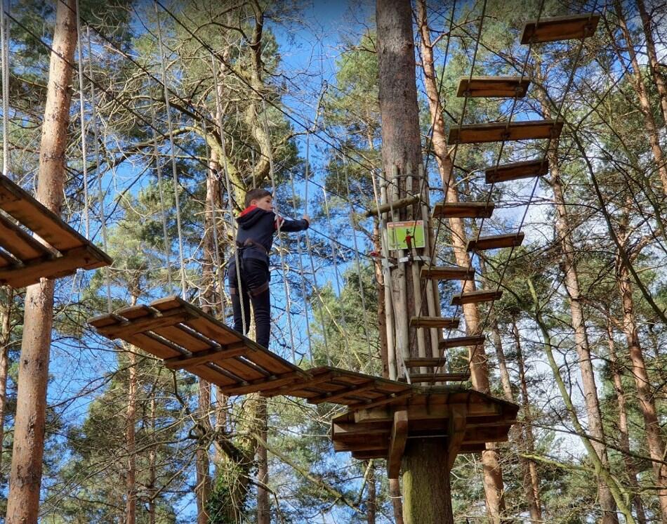 An outdoor adventure venue with wooden treetop platforms and rope bridges among tall pine trees at Go Ape Bracknell.