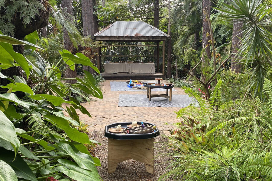 Rainforest Area Rainforest Area