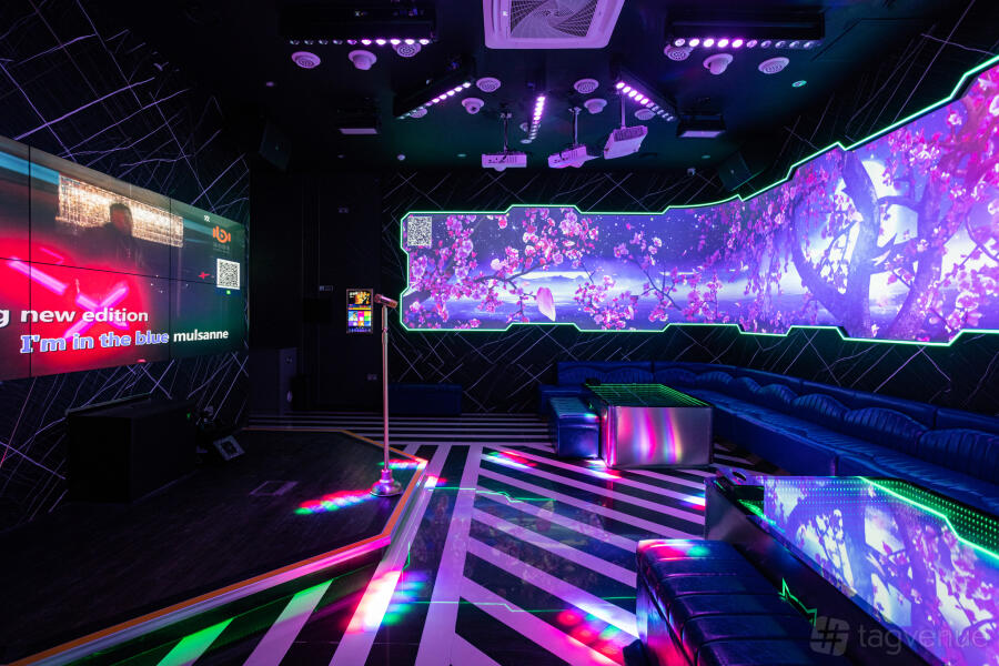 Party Room: VIP Club Plus Party Room: VIP Club Plus