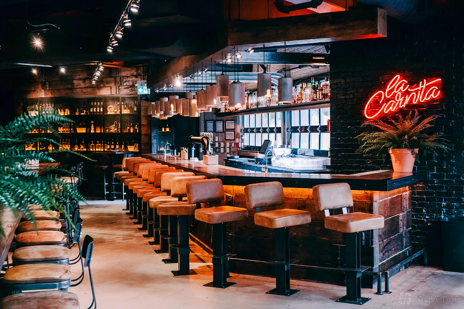 La Carnita @ 130 Eglinton Ave E