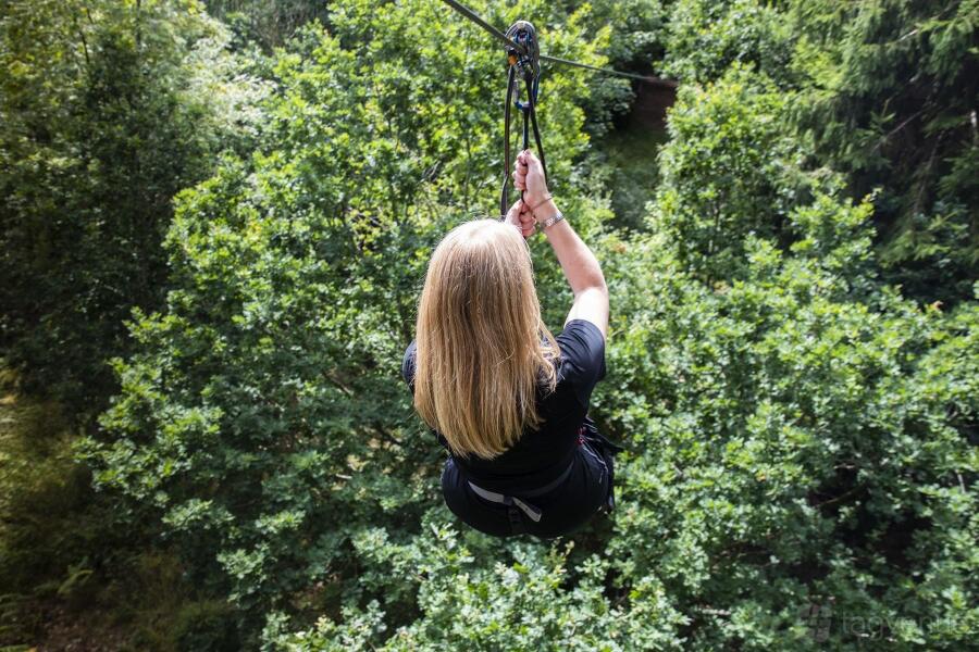 Treetop Challenge at Go Ape Woburn