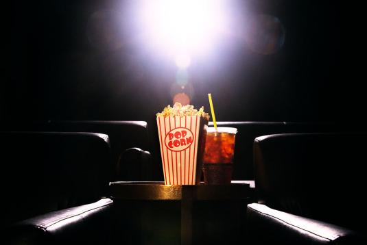 High End Rental Properties With Private Screening Rooms photo