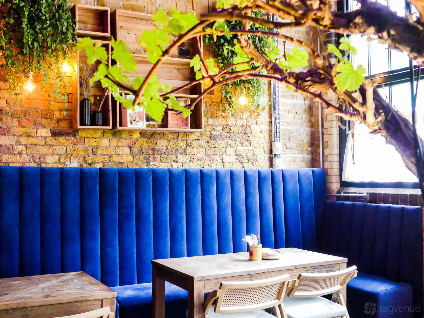 A restaurant with exposed brick walls, blue velvet banquette seating, wooden tables, and hanging plants at Epicurus Camden.