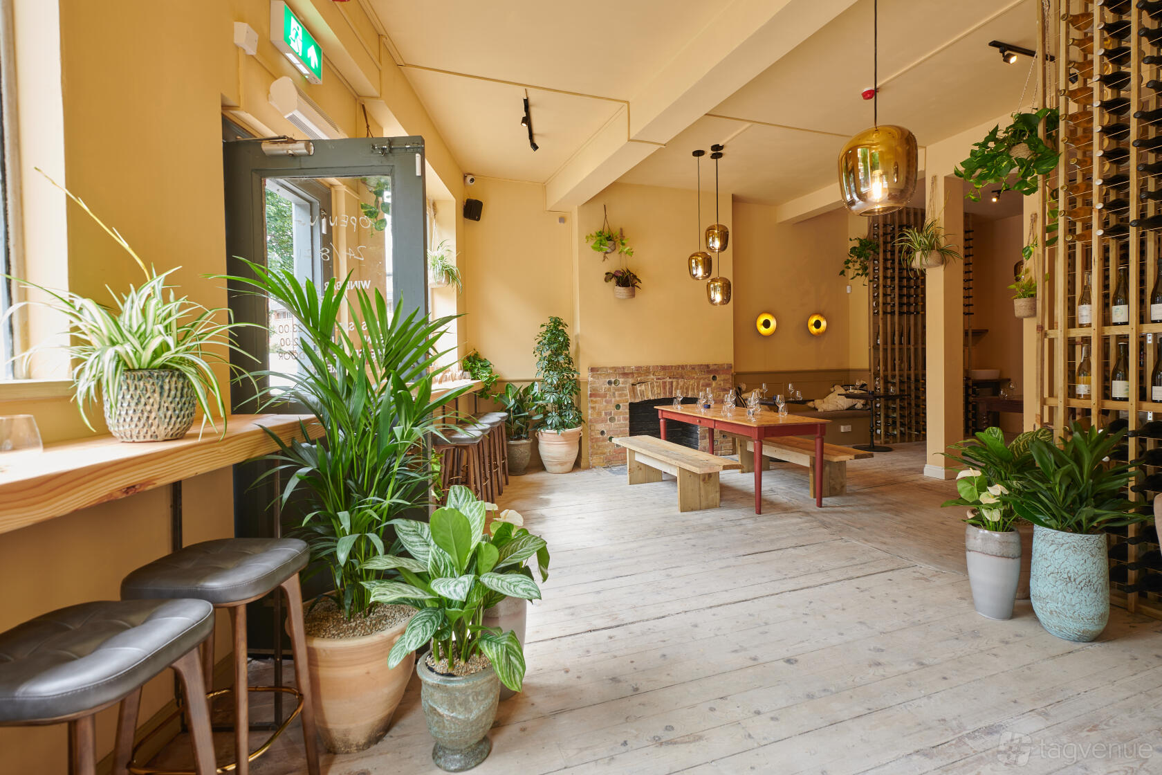 A bar with potted plants, wooden flooring, hanging gold lights, and large windows at aspen & meursault.
