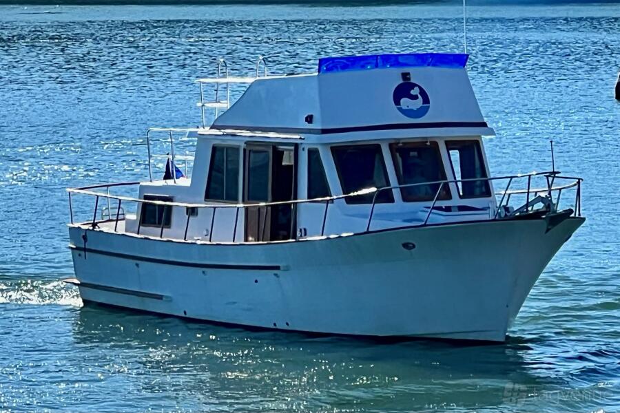 The Yacht The Yacht