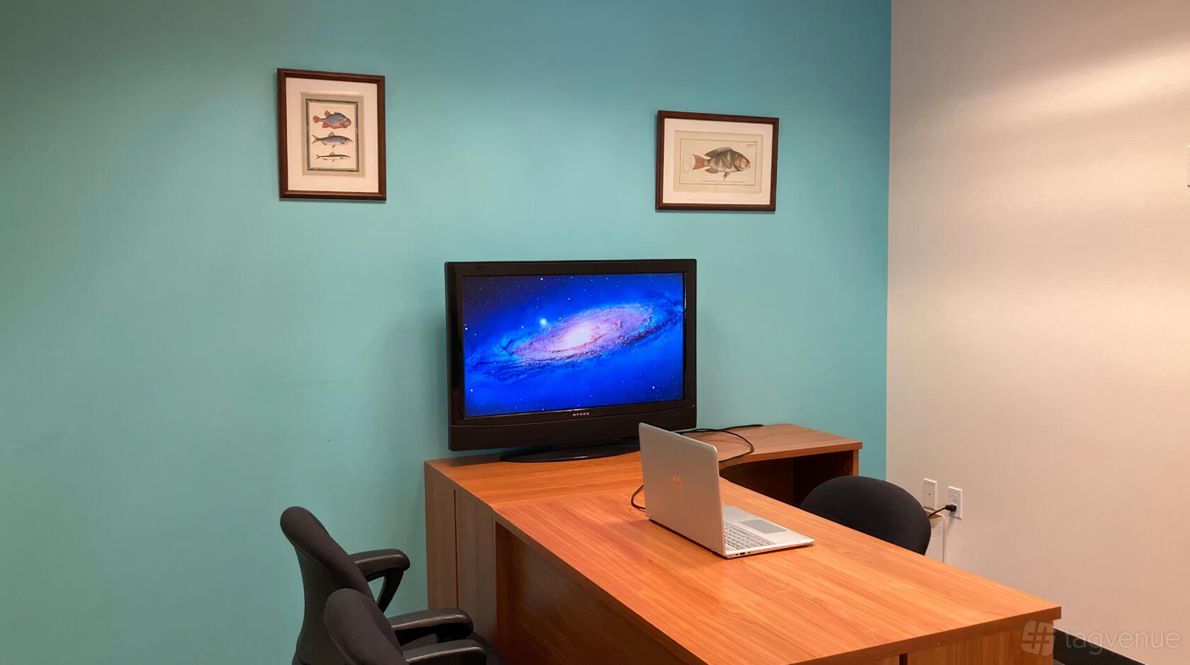 A meeting room with a wooden table, two chairs, turquoise accent wall, and wall-mounted TV at SURF Incubator.