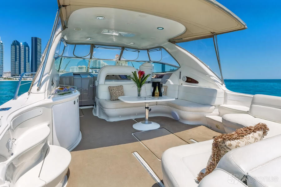 55' SeaRay at