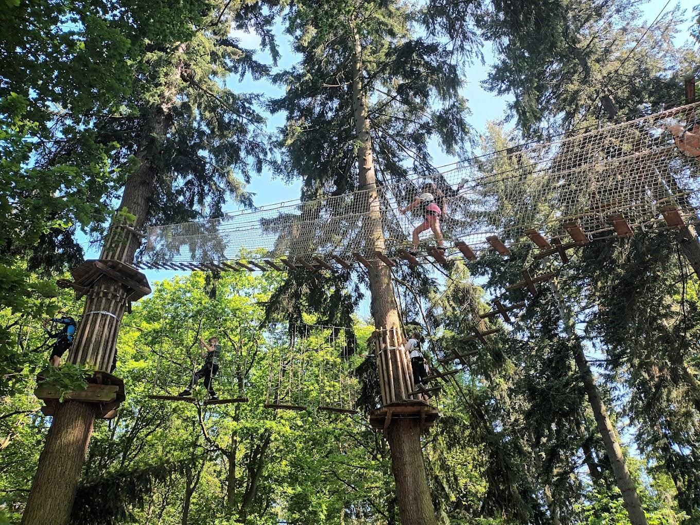 An outdoor event venue with elevated rope bridges and platforms among tall pine trees at Go Ape Matfen.
