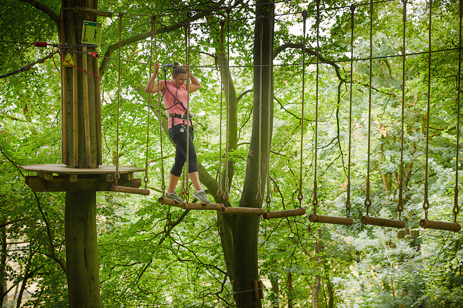 An outdoor adventure course with rope bridges and elevated wooden platforms in the trees at Go Ape Delamere Forest.