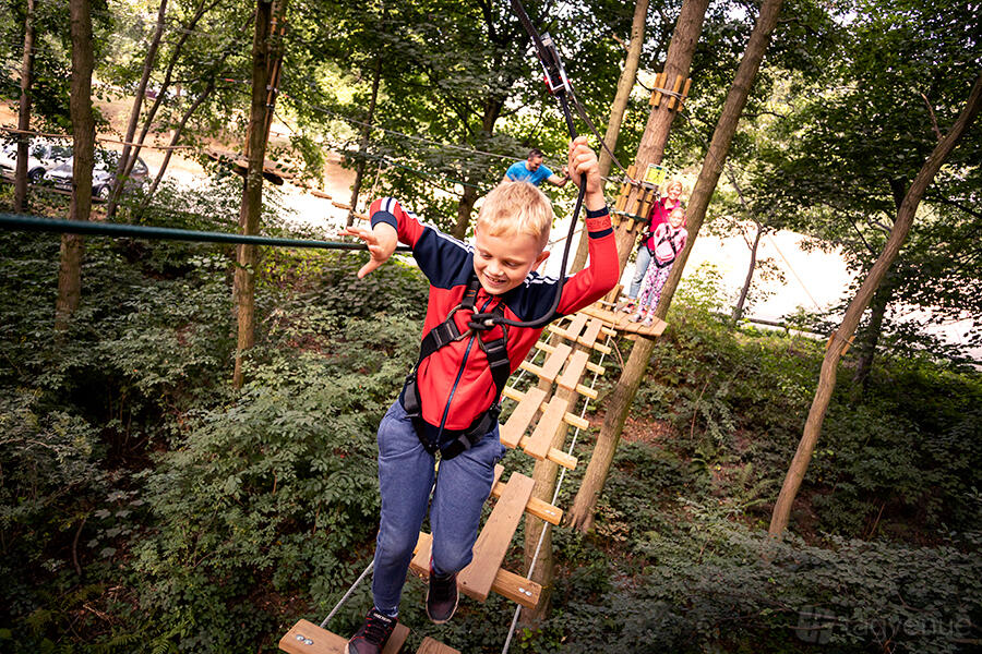 Treetop Adventure at