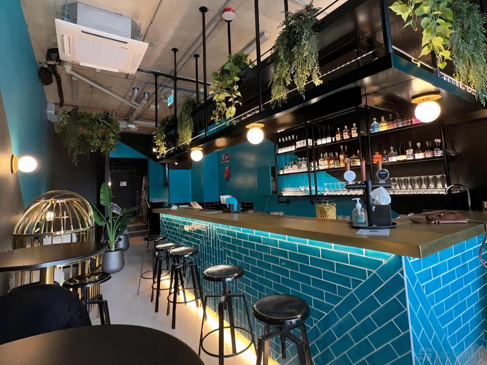 An underground bar with teal tiled counters, hanging plants, and backlit shelving at Hideout Bar.
