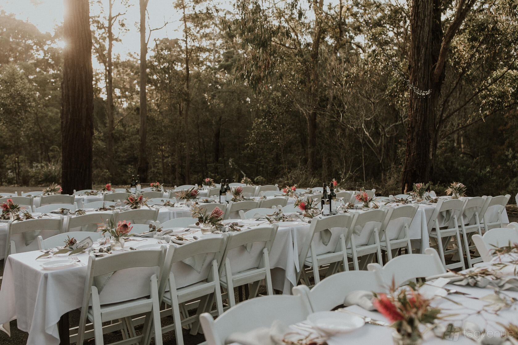 An outdoor venue with long tables covered in white linens and floral centerpieces among tall trees at Kianinny.