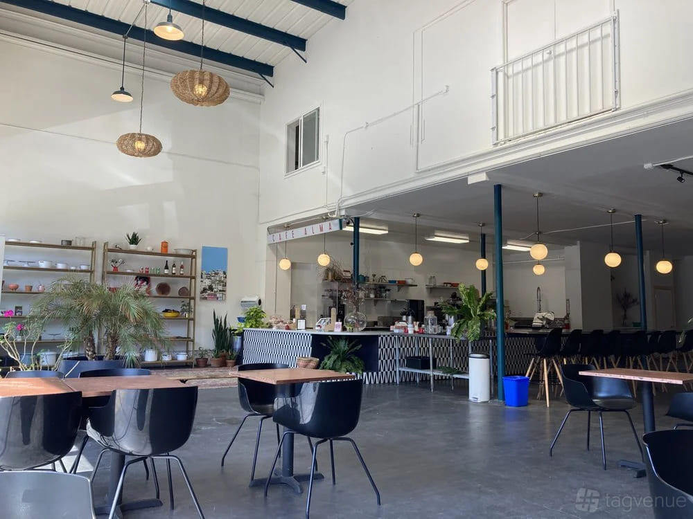 A cafe with high ceilings, globe pendant lighting, open shelving, and potted plants at Cafe Alma.