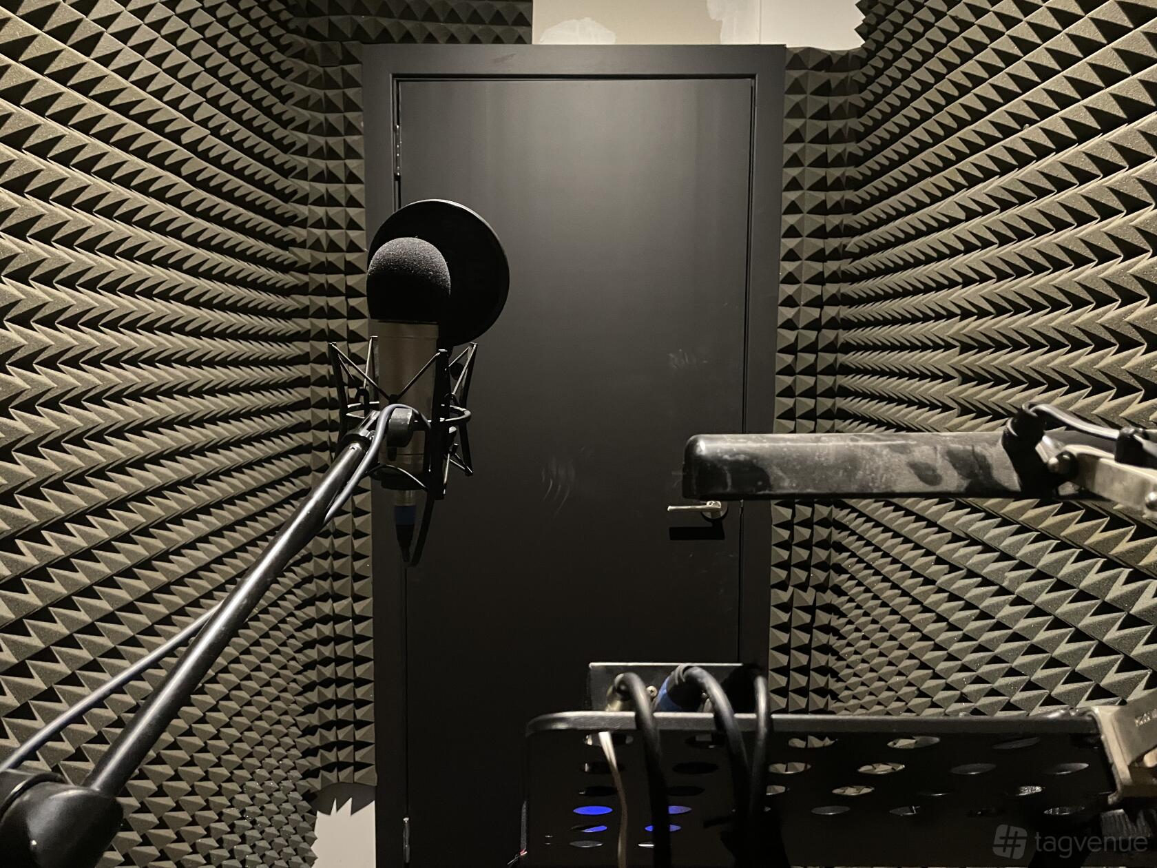 A recording room with foam acoustic panels, a microphone on a boom arm, and a music stand at Damn Good Productions.