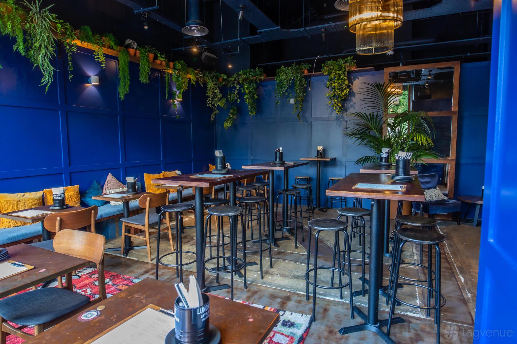 A bar with blue paneled walls, hanging greenery, high-top tables, and wooden chairs at Vagabond Paddington.