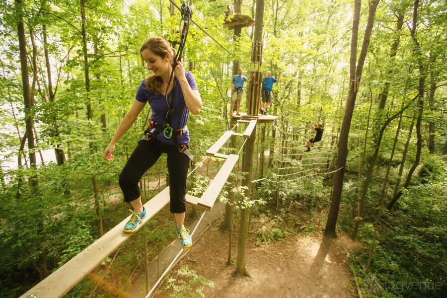 Treetop Challenge Treetop Challenge