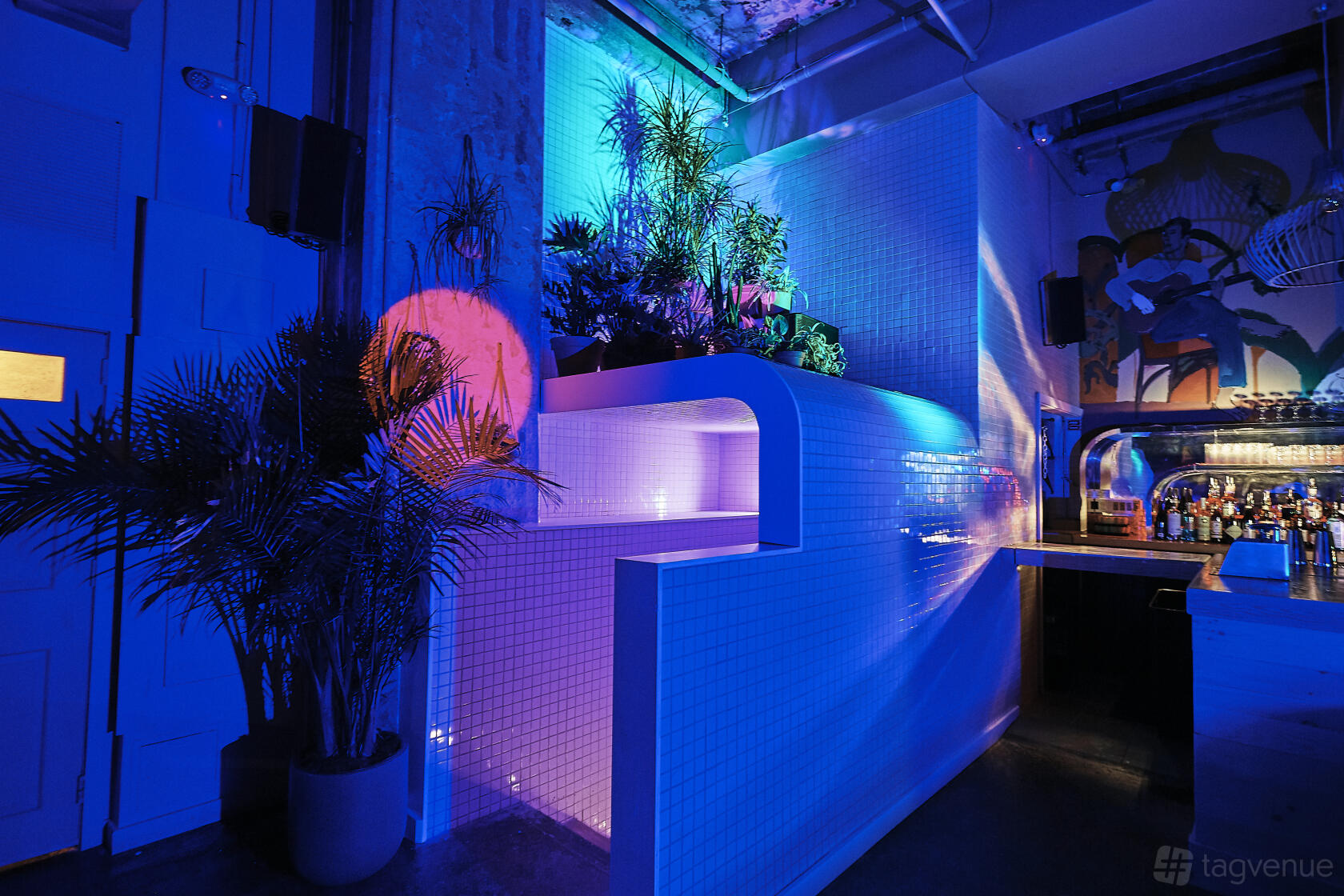 An event space in a bar with blue and pink lighting, white tiled walls, and lush indoor plants at Cafe Balearica.