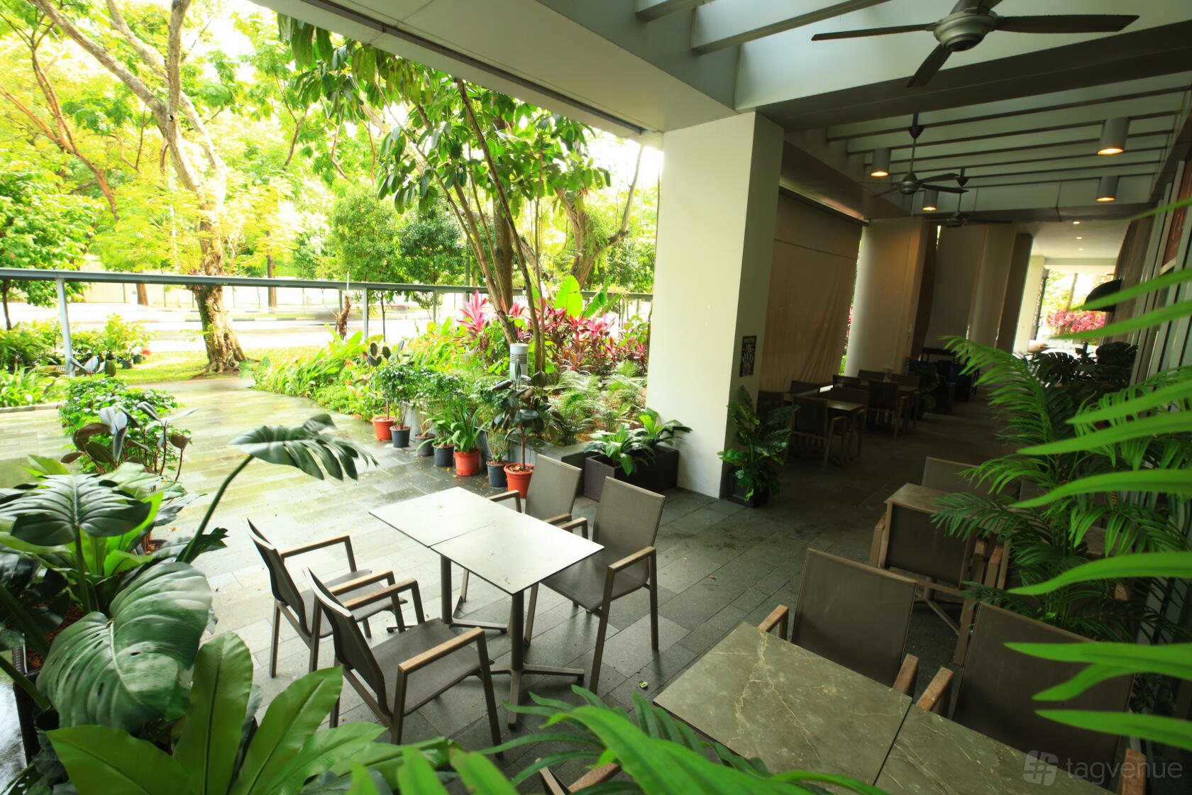 A restaurant patio with potted plants, outdoor tables, and ceiling fans at CALI, Park Avenue Rochester.