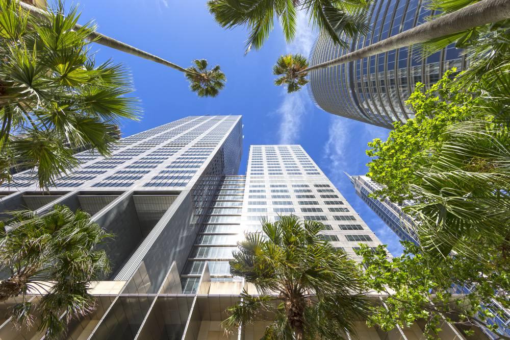 A meeting centre with glass skyscrapers and tall palm trees against a blue sky at Dexus Place One Farrer.