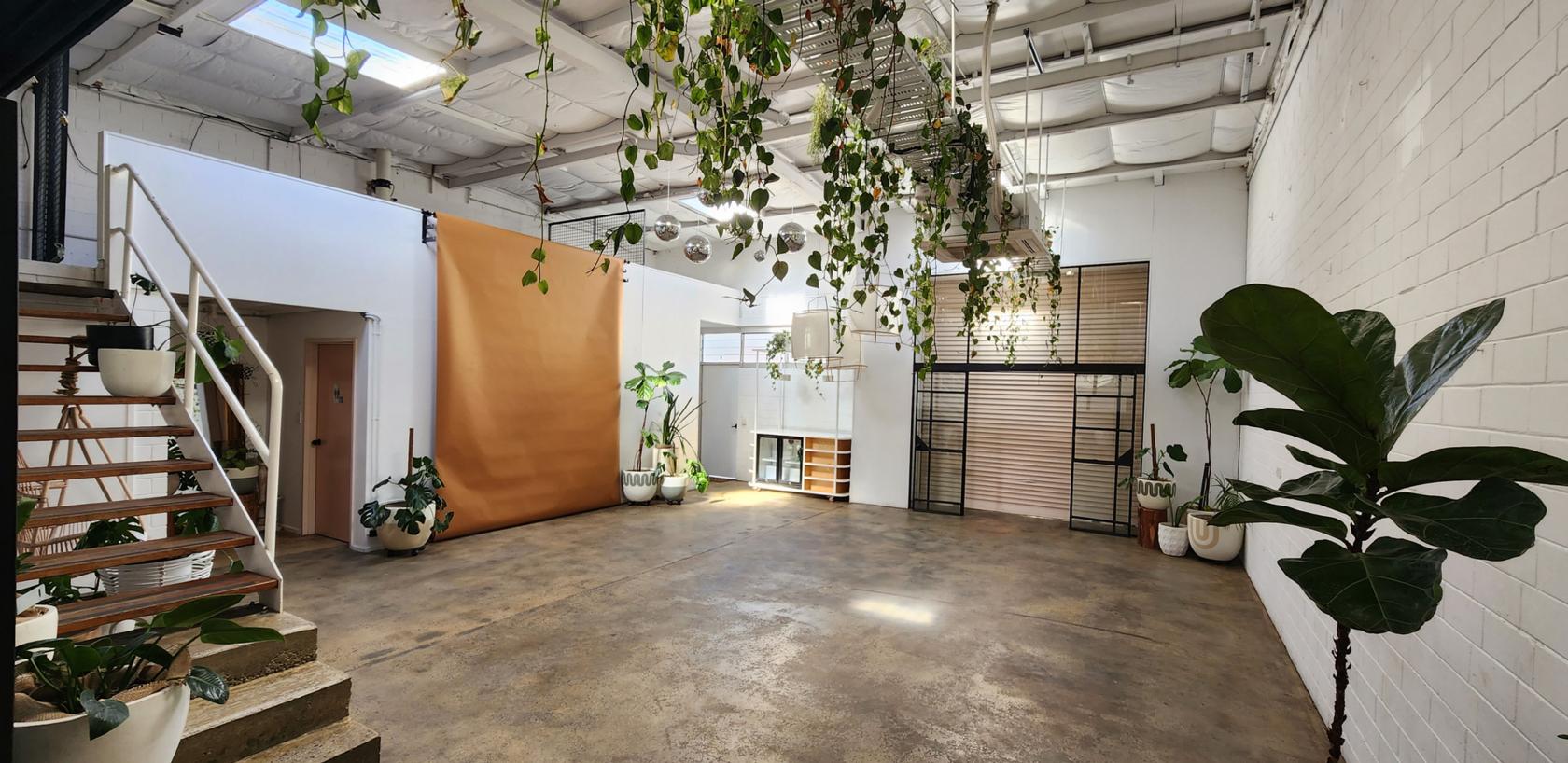 An event venue with high ceilings, hanging greenery, large windows, and polished concrete floors at Feld & Co.