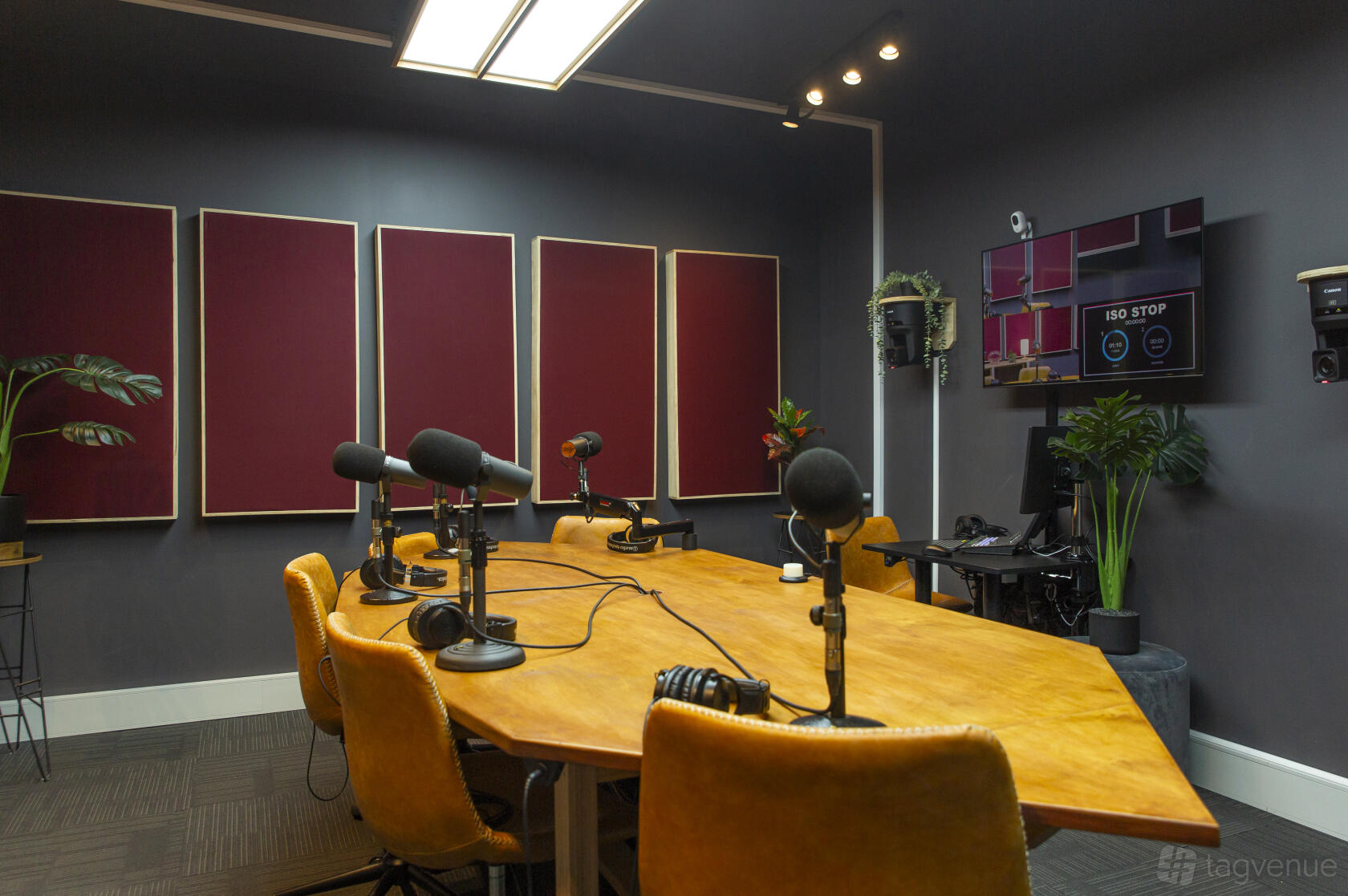 A podcast studio with microphones on a wooden table, acoustic panels, and mustard chairs at Stupid Old Studios.