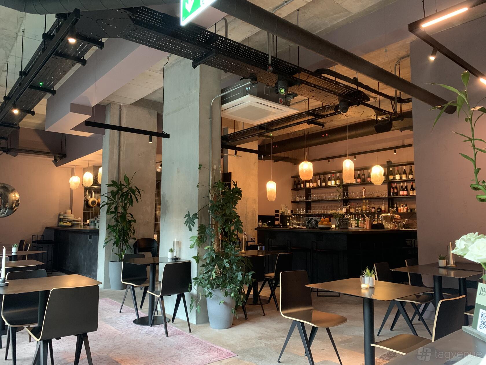 A bar with pendant lighting, potted plants, and black tables with wooden chairs at The Beeswing.