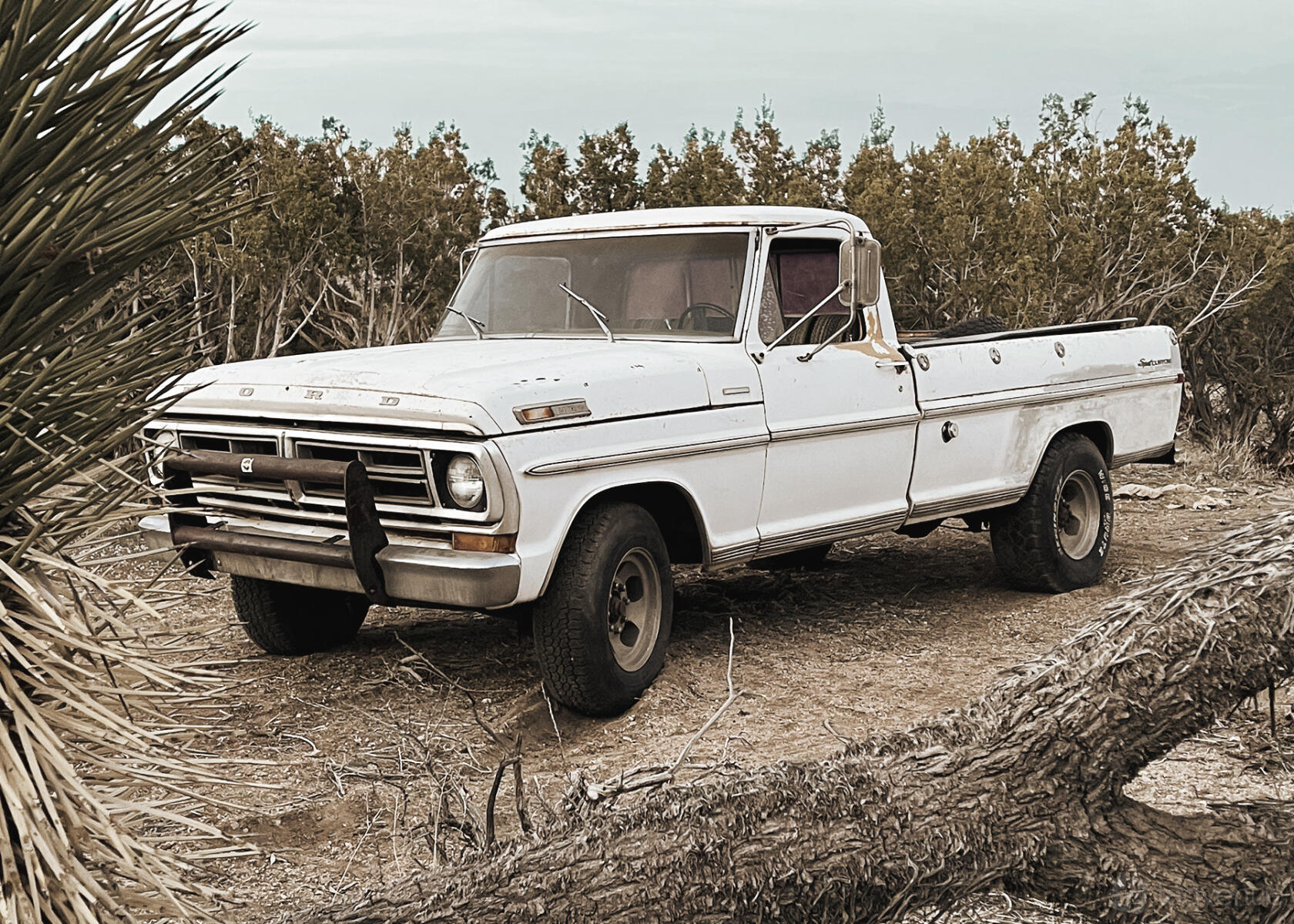 An outdoor area with a vintage white pickup truck parked on dirt by shrubs at Classic Car Dessert Studio.