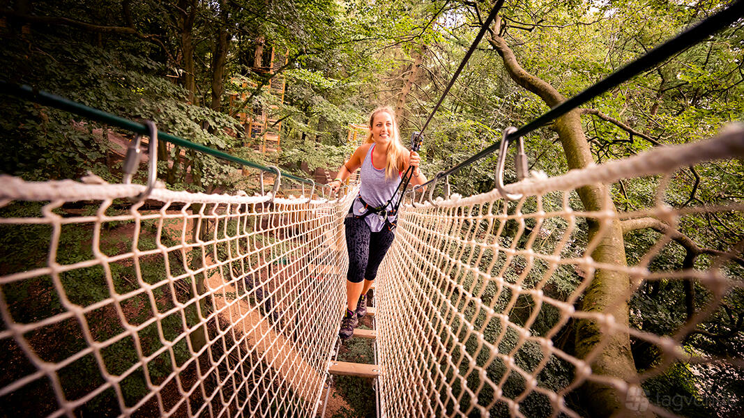 An adventure course with rope bridges and platforms among trees at Go Ape Coventry.