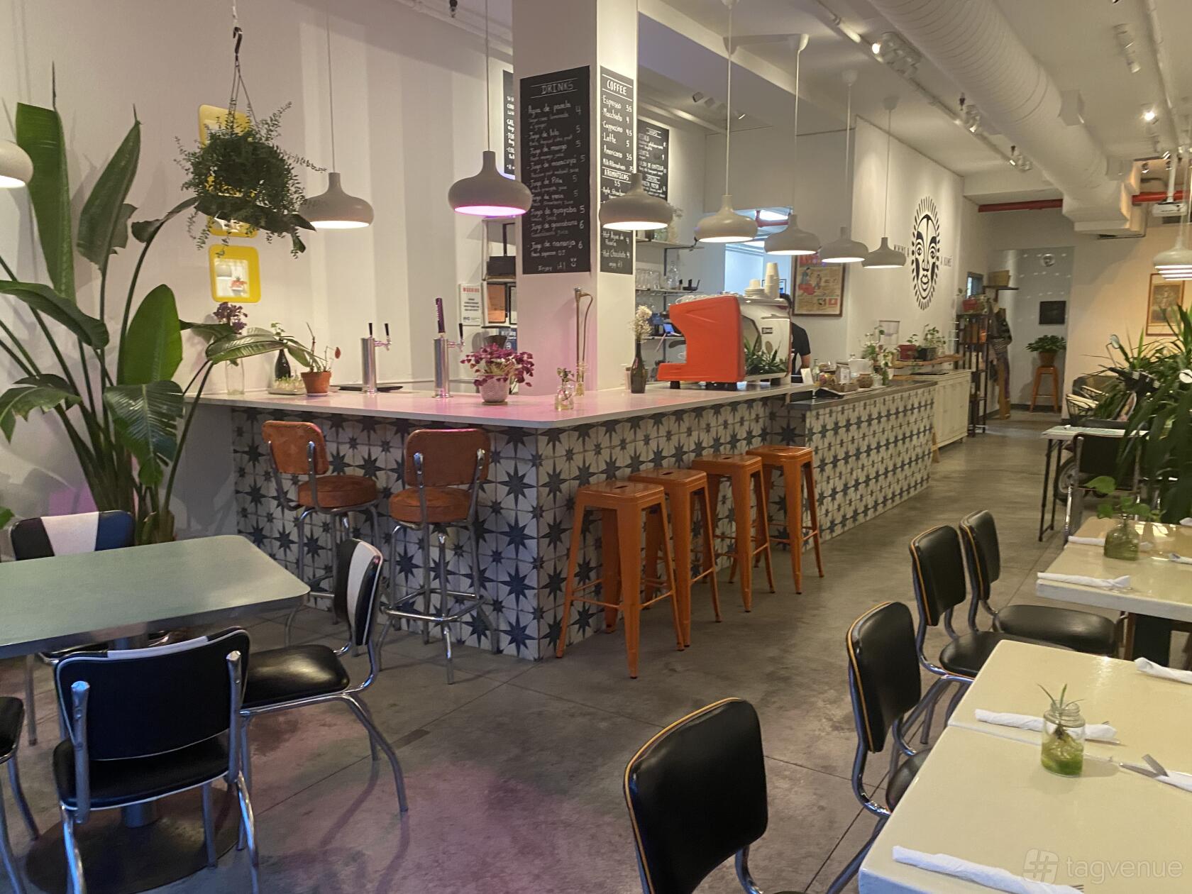 A restaurant with patterned tile bar, pendant lighting, indoor plants, and retro chairs at Palenque.