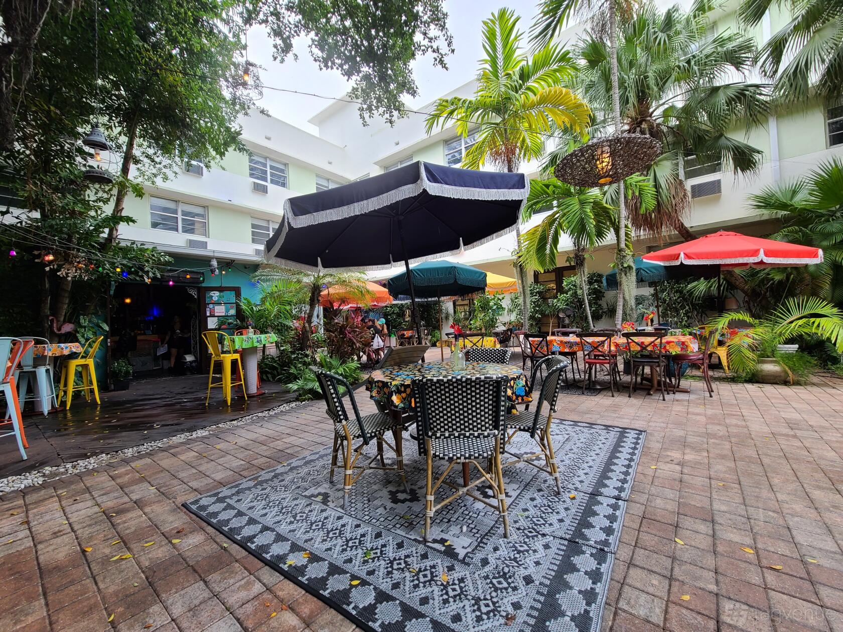 An outdoor dining area with colorful umbrellas, woven chairs, and lush palm trees at Morenos Cuba.